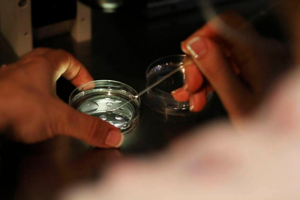 test-cribado-prenatal-img